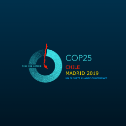 COP25 Mandate: The Geopolitics of Mutual Empowerment